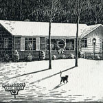 Edith and Chest, winter, cat