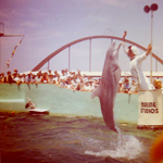 "Dolphin flipping in air" with my grand parent, Dorothy and 3 sons!