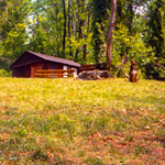 Me and dog, Spike, old cabin in '99, "one more time!" 