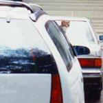 92_two car and cat-