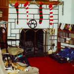 Spike, living room, Hampdan Road, Upper Darby, PA.